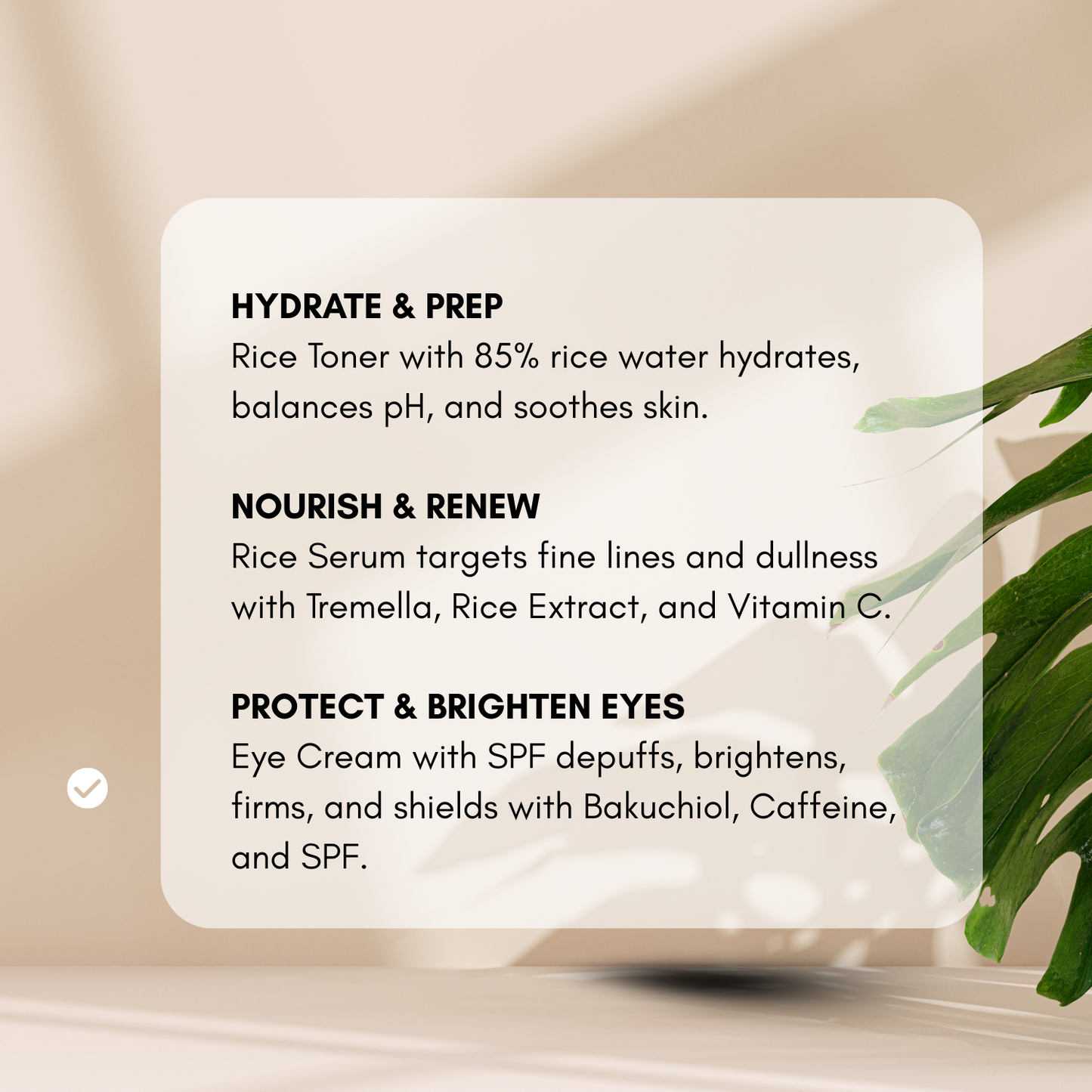 Nimba Cosmetics Summer Glow Bundle featuring Rice Toner, Rice Serum, and Under-Eye Cream arranged with natural props in bright, summery lighting—skincare products designed for hydration, glow, and smooth under-eyes.